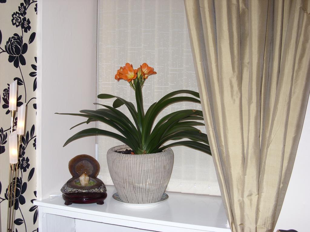 Alba Guest House Aberdeen Luaran gambar